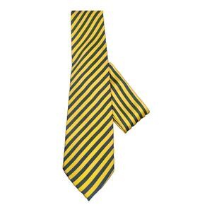 MEN'S ST. PATRICK NAVY/GOLD THIN DIAGONAL STRIPE TIE AND POCKET SQUARE SET.